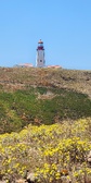 Enlarge photo 419
