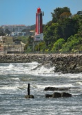 Enlarge photo 135