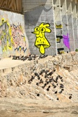 Enlarge photo 136