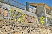 Enlarge photo 137