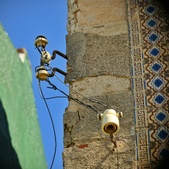 Enlarge photo 261