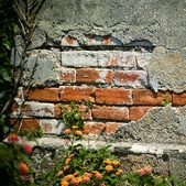 Enlarge photo 283