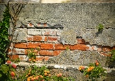 Enlarge photo 284