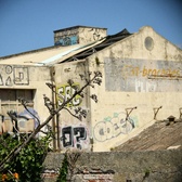 Enlarge photo 285