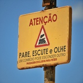 Enlarge photo 301