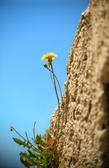 Enlarge photo 304