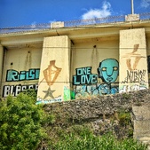 Enlarge photo 319