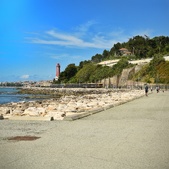 Enlarge photo 323
