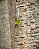 Enlarge photo 351
