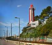 Enlarge photo 355