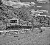 Enlarge photo 363