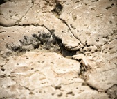 Enlarge photo 371