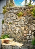 Enlarge photo 373