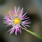 Enlarge photo 53