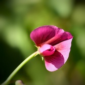 Enlarge photo 56