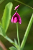 Enlarge photo 72