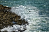 Enlarge photo 101