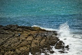 Enlarge photo 103