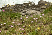 Enlarge photo 102