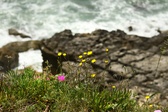 Enlarge photo 104