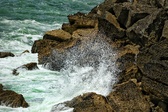 Enlarge photo 106