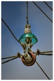 Enlarge photo 117