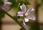 Enlarge photo 122