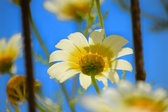 Enlarge photo 124