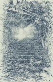 Enlarge photo 78