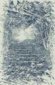 Enlarge photo 77