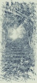 Enlarge photo 76