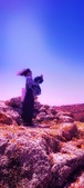 Enlarge photo 411