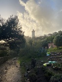 Enlarge photo 47