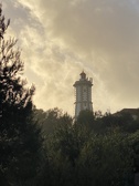 Enlarge photo 49