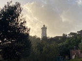 Enlarge photo 53