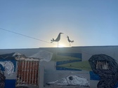 Enlarge photo 108