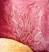 Enlarge photo 112