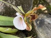 Enlarge photo 208