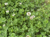 Enlarge photo 41