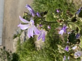 Enlarge photo 111