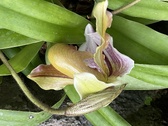 Enlarge photo 194