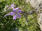Enlarge photo 118
