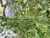 Enlarge photo 106