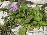 Enlarge photo 28