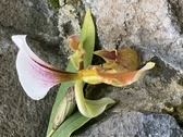 Enlarge photo 186