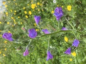Enlarge photo 107