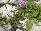 Enlarge photo 29