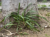 Enlarge photo 89