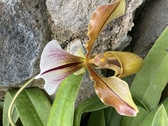 Enlarge photo 205