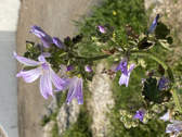 Enlarge photo 110